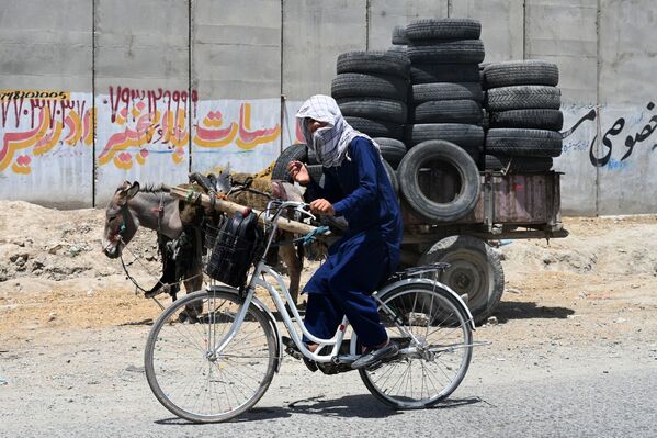 Người đàn ông trẻ tuổi đi xe đạp cùng với con lừa chất đầy lốp xe ở Kabul - Sputnik Việt Nam
