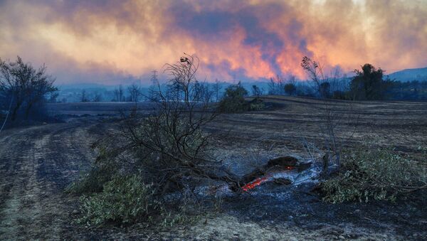 Cháy rừng ở Thổ Nhĩ Kỳ - Sputnik Việt Nam