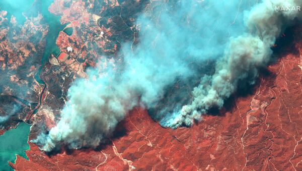 Hình ảnh vệ tinh về cháy rừng ở Thổ Nhĩ Kỳ - Sputnik Việt Nam