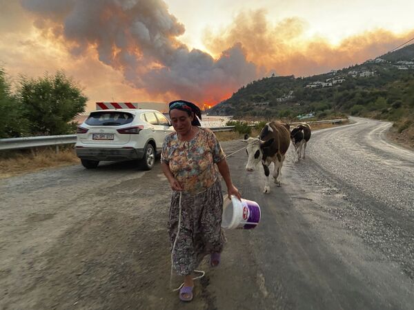 Người phụ nữ cùng đàn gia súc trong trận cháy rừng ở Thổ Nhĩ Kỳ - Sputnik Việt Nam