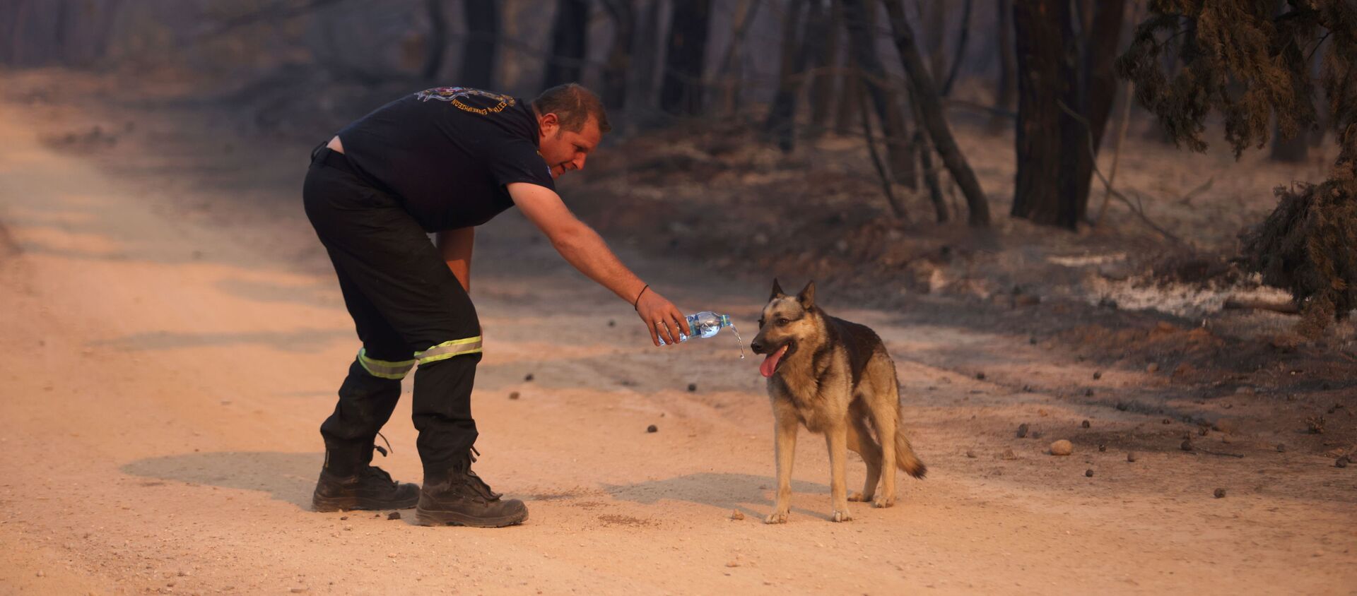 Người lính cứu hỏa đưa nước cho con chó trong trận cháy rừng ở ngoại ô phía bắc Athens - Sputnik Việt Nam, 1920, 04.08.2021