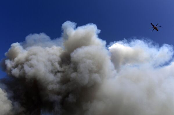 Máy bay trực thăng dập đám cháy rừng ở ngoại ô phía bắc Athens - Sputnik Việt Nam