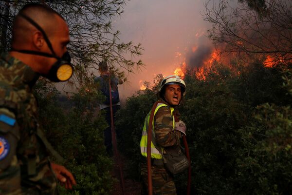 Dập cháy rừng ở ngoại ô phía bắc Athens - Sputnik Việt Nam