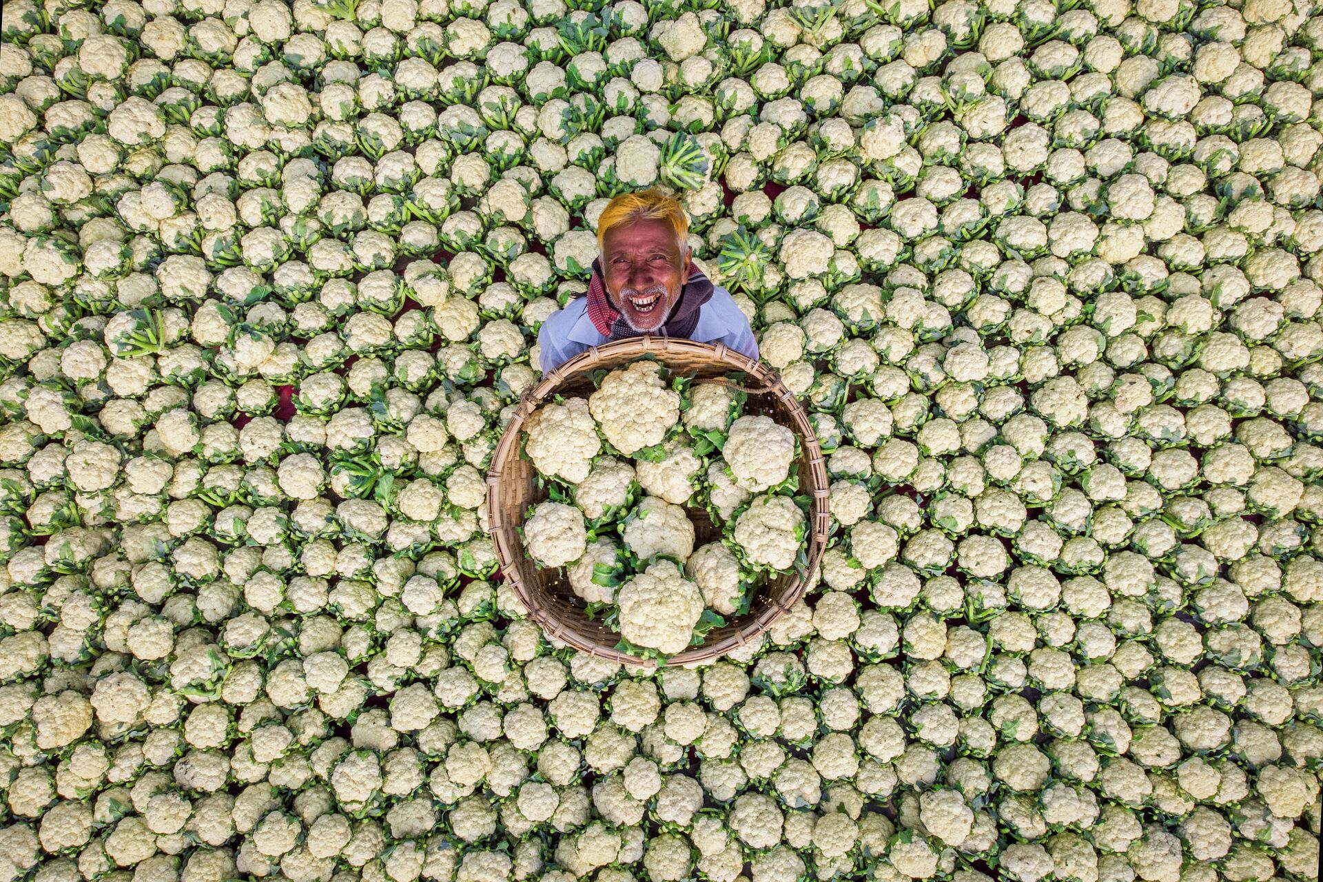 Bức ảnh của Rafid Yasar từ Bangladesh Happy Farmer, giành chiến thắng sau kết quả bỏ phiếu trực tuyến của Cuộc thi Báo ảnh quốc tế Stenin - Sputnik Việt Nam, 1920, 05.10.2021