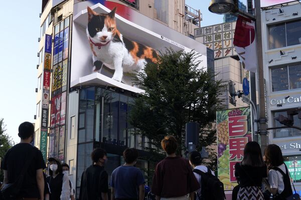 Quảng cáo video 3D với hình con mèo khổng lồ trong khu thương mại Shinjuku ở Tokyo - Sputnik Việt Nam