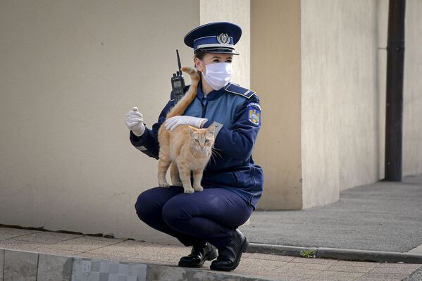 Nữ cảnh sát chơi với con mèo bên ngoài nhà thờ ở Bucharest, Romania - Sputnik Việt Nam
