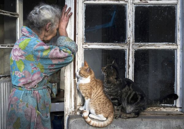 Người phụ nữ lớn tuổi và những con mèo bên cạnh ngôi nhà của bà ở thị trấn Lachin (Berdzor), Nagorno-Karabakh - Sputnik Việt Nam
