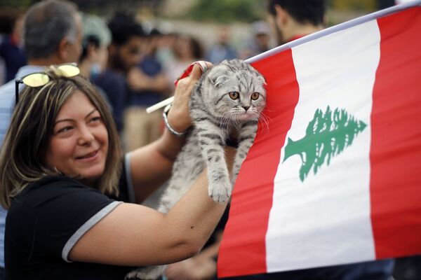 Người biểu tình ôm con mèo của mình và lá cờ Lebanon trong cuộc biểu tình ở Beirut, Lebanon - Sputnik Việt Nam