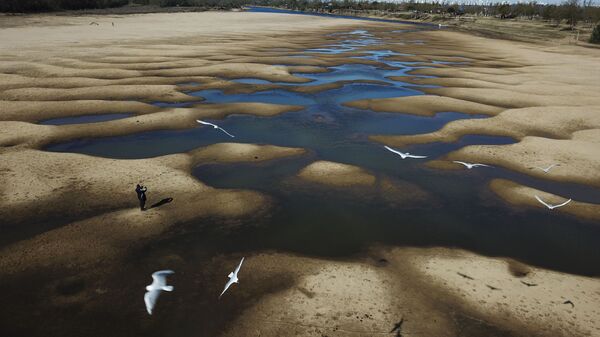 Đàn chim bay qua sông Old Parana gần như cạn khô trong đợt hạn hán ở Argentina - Sputnik Việt Nam
