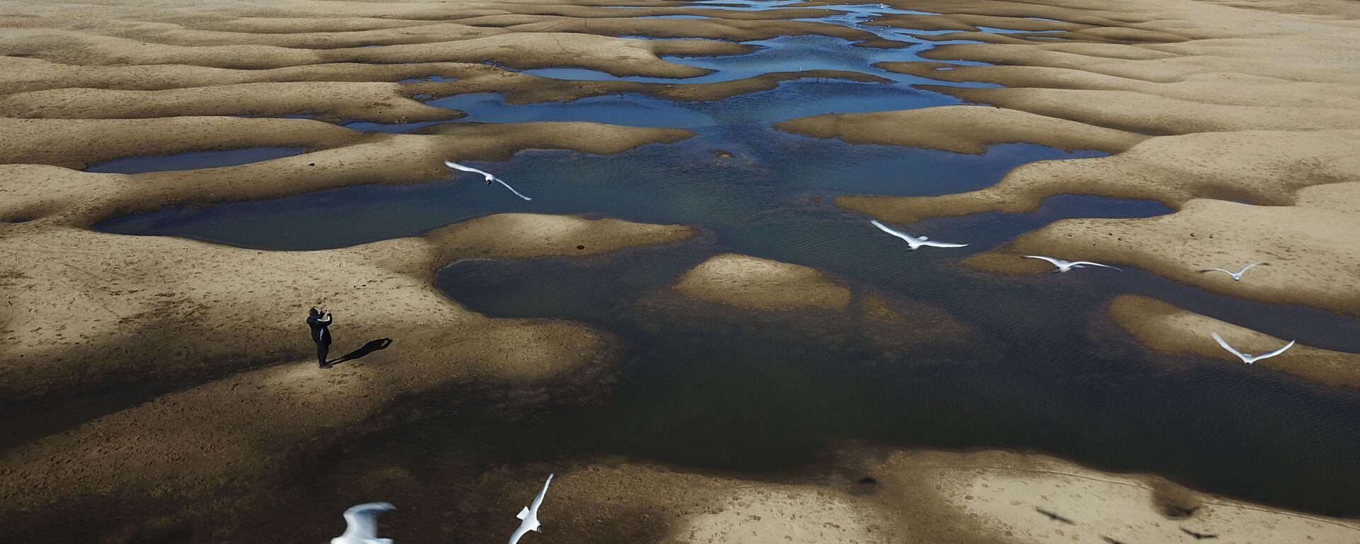 Đàn chim bay qua sông Old Parana gần như cạn khô trong đợt hạn hán ở Argentina - Sputnik Việt Nam, 1920, 30.08.2023