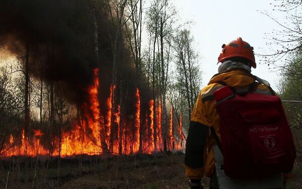 Dập đám cháy rừng ở Yakutia, Nga - Sputnik Việt Nam