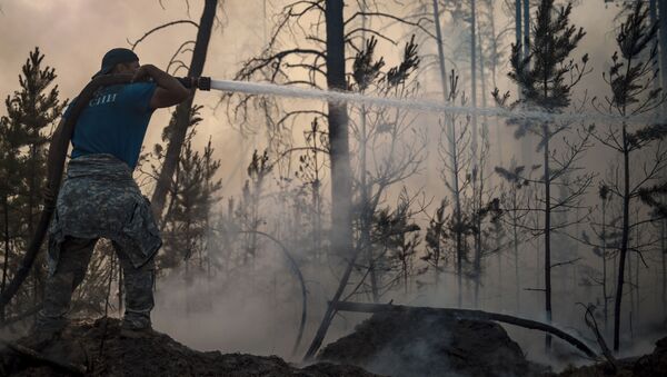 Một nhân viên của Bộ Tình trạng Khẩn cấp của Liên bang Nga trong khi dập tắt đám cháy rừng ở Yakutia - Sputnik Việt Nam