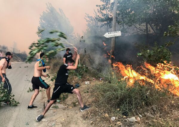 Mọi người cố gắng dập lửa ở tỉnh miền núi Tizi Ouzou, gần phía đông Algeria, Algeria - Sputnik Việt Nam