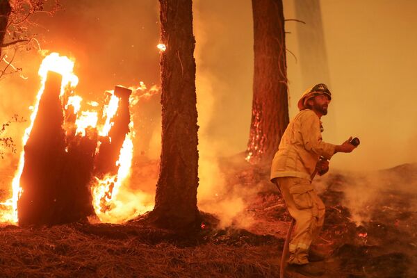 Lính cứu hỏa trong trận cháy rừng Dixie gần Taylorsville, California, Mỹ - Sputnik Việt Nam