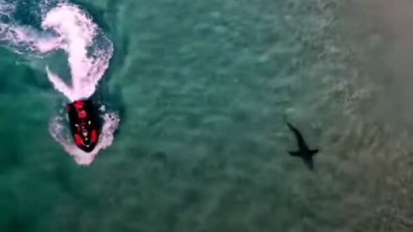 Quay video cảnh cá mập dài ba mét suýt hất người đàn ông ngã khỏi mô tô nước  - Sputnik Việt Nam