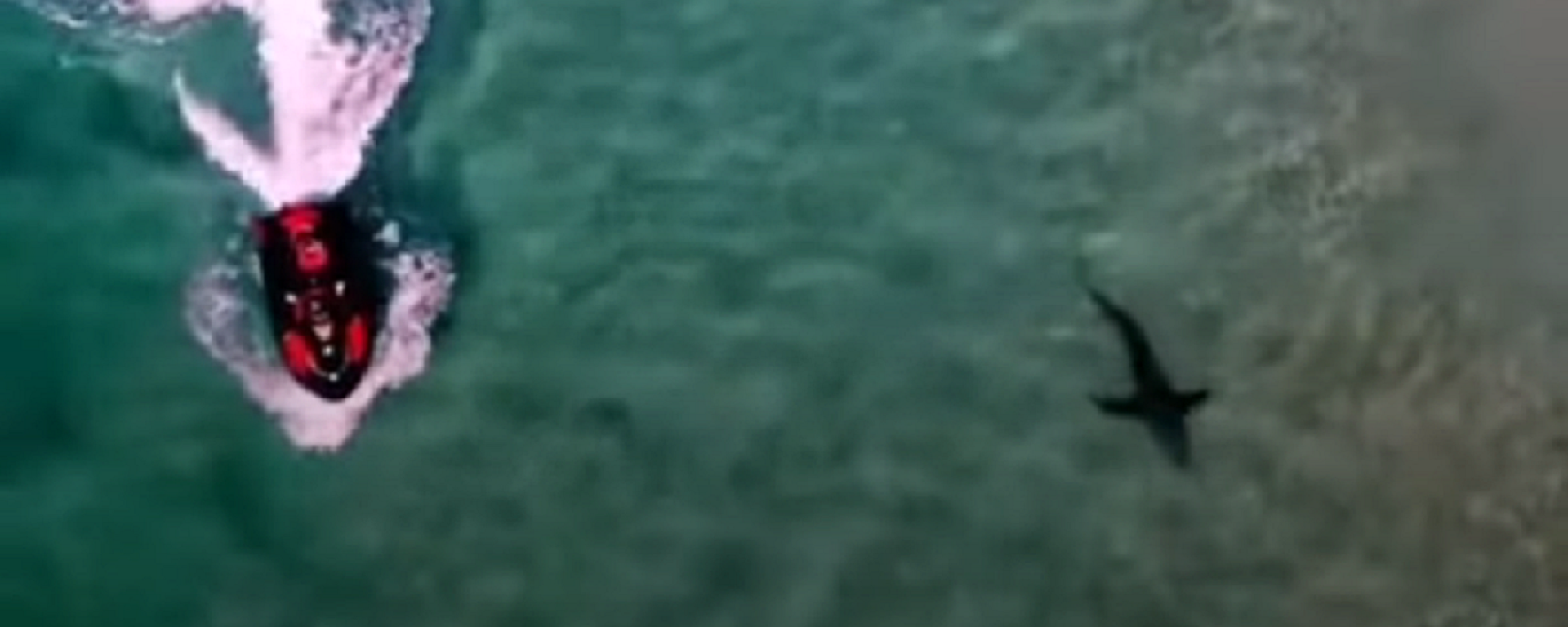 Quay video cảnh cá mập dài ba mét suýt hất người đàn ông ngã khỏi mô tô nước  - Sputnik Việt Nam, 1920, 14.08.2021