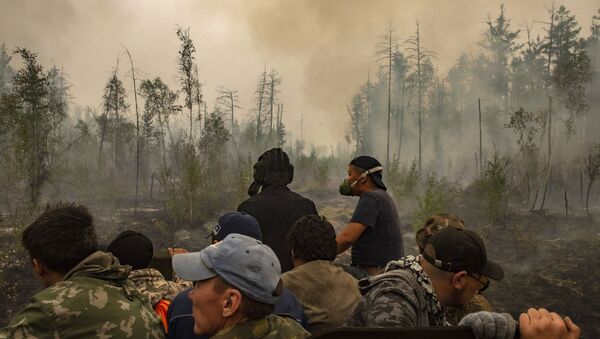 Cháy rừng ở Yakutia - Sputnik Việt Nam