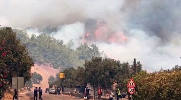 Hỏa hoạn ở Thổ Nhĩ Kỳ gần Bodrum
 - Sputnik Việt Nam