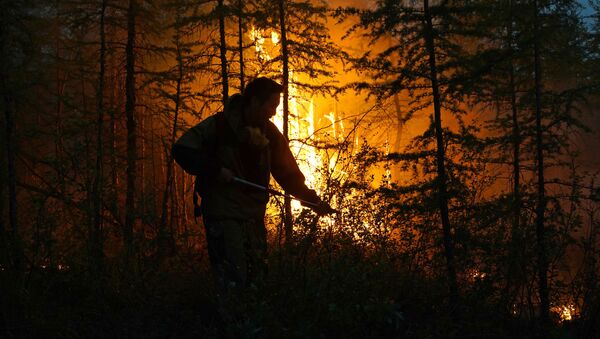 Dập lửa rừng ở Yakutia - Sputnik Việt Nam