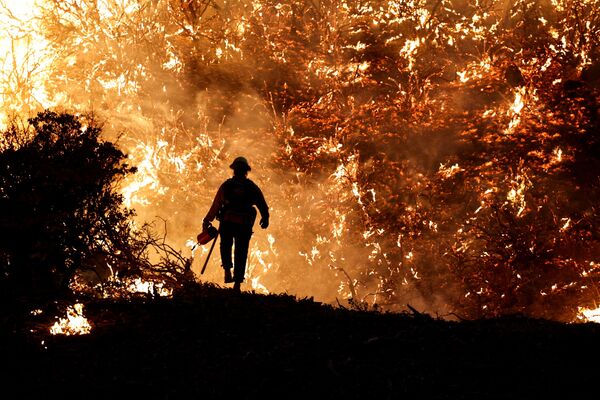 Lính cứu hỏa trong vụ cháy rừng ở California, Mỹ - Sputnik Việt Nam