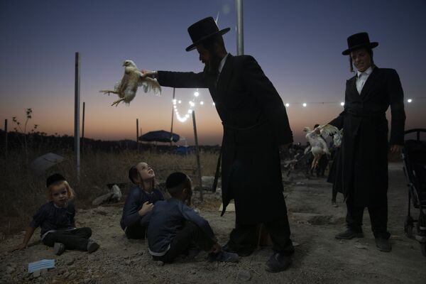 Người Do Thái Chính thống giáo giữ con gà trên đầu các con của mình trong nghi lễ Kaparot ở Beit Shemesh, Israel - Sputnik Việt Nam