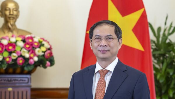Ủy viên Trung ương Đảng, Bộ trưởng Ngoại giao Bùi Thanh Sơn. - Sputnik Việt Nam