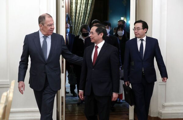 Cuộc họp báo của Bộ trưởng Ngoại giao Liên bang Nga Sergei Lavrov và Bộ trưởng Ngoại giao Việt Nam Bùi Thanh Sơn - Sputnik Việt Nam