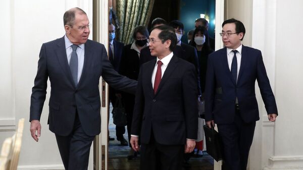 Cuộc họp báo của Bộ trưởng Ngoại giao Liên bang Nga Sergei Lavrov và Bộ trưởng Ngoại giao Việt Nam Bùi Thanh Sơn - Sputnik Việt Nam