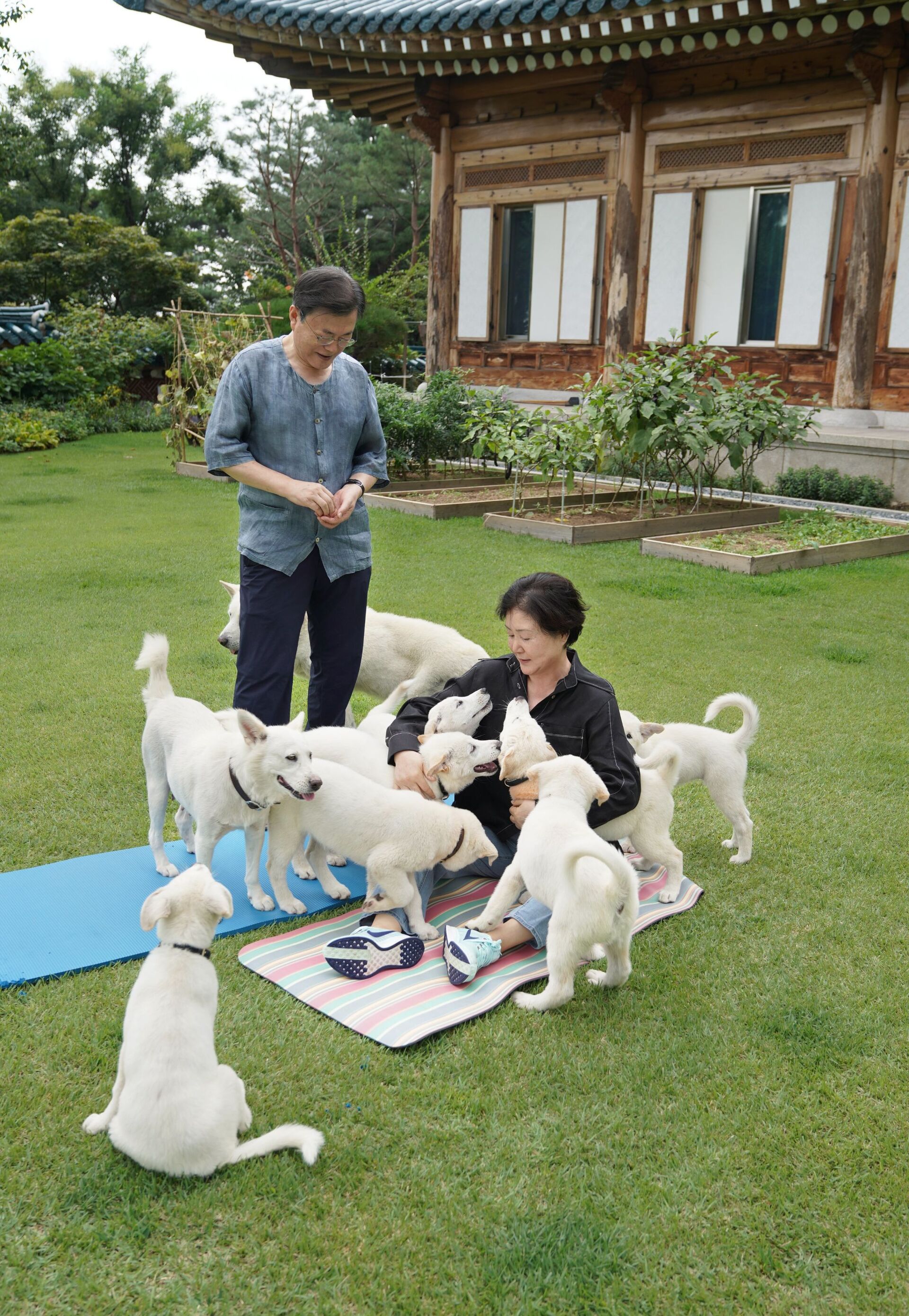 Tổng thống Hàn Quốc Moon Jae-in và phu nhân Kim Jung-sook bên những chú cún cưng của gia đình - Sputnik Việt Nam, 1920, 05.10.2021