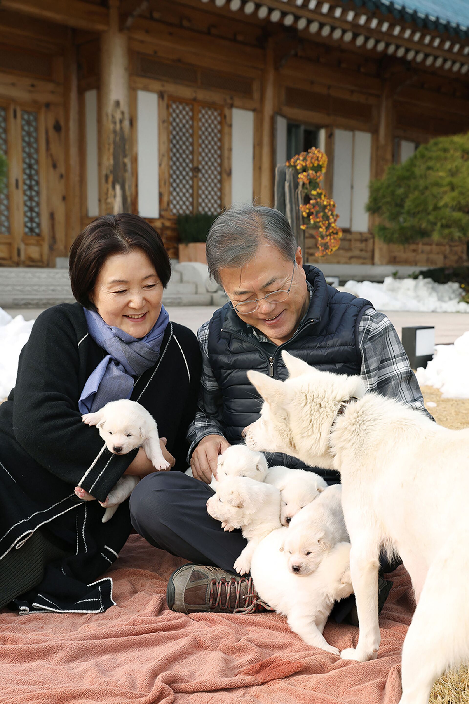 Tổng thống Hàn Quốc Moon Jae-in và phu nhân Kim Jung-sook ngắm những chú cún con của chó giống Pungsan là món quà mà ông Kim Jong-un tặng - Sputnik Việt Nam, 1920, 05.10.2021