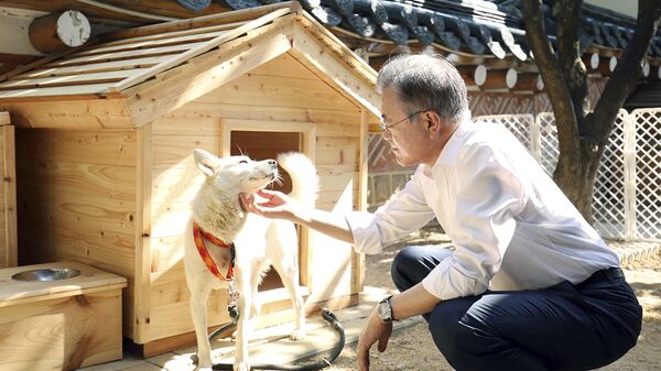 Tổng thống Hàn Quốc Moon Jae-in vuốt ve chú chó tên là Gomi - Sputnik Việt Nam