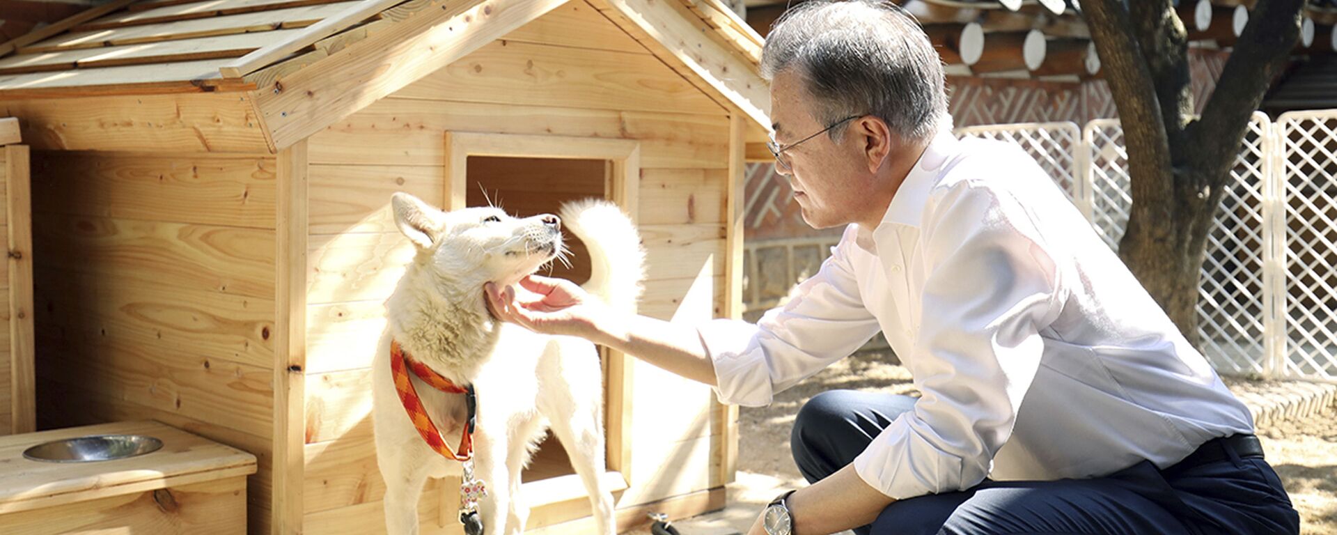 Tổng thống Hàn Quốc Moon Jae-in vuốt ve chú chó tên là Gomi - Sputnik Việt Nam, 1920, 29.09.2021
