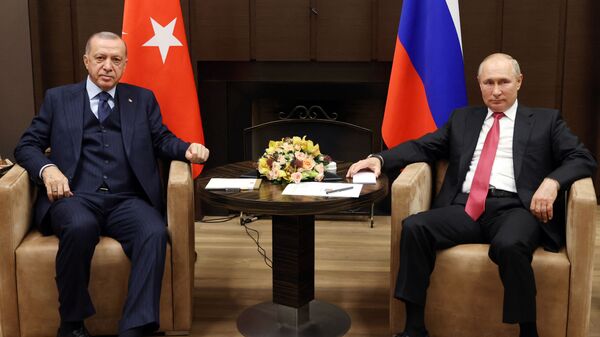 Tổng thống Nga Vladimir Putin tại cuộc gặp người đồng cấp Thổ Nhĩ Kỳ Tayyip Erdogan ở Sochi - Sputnik Việt Nam