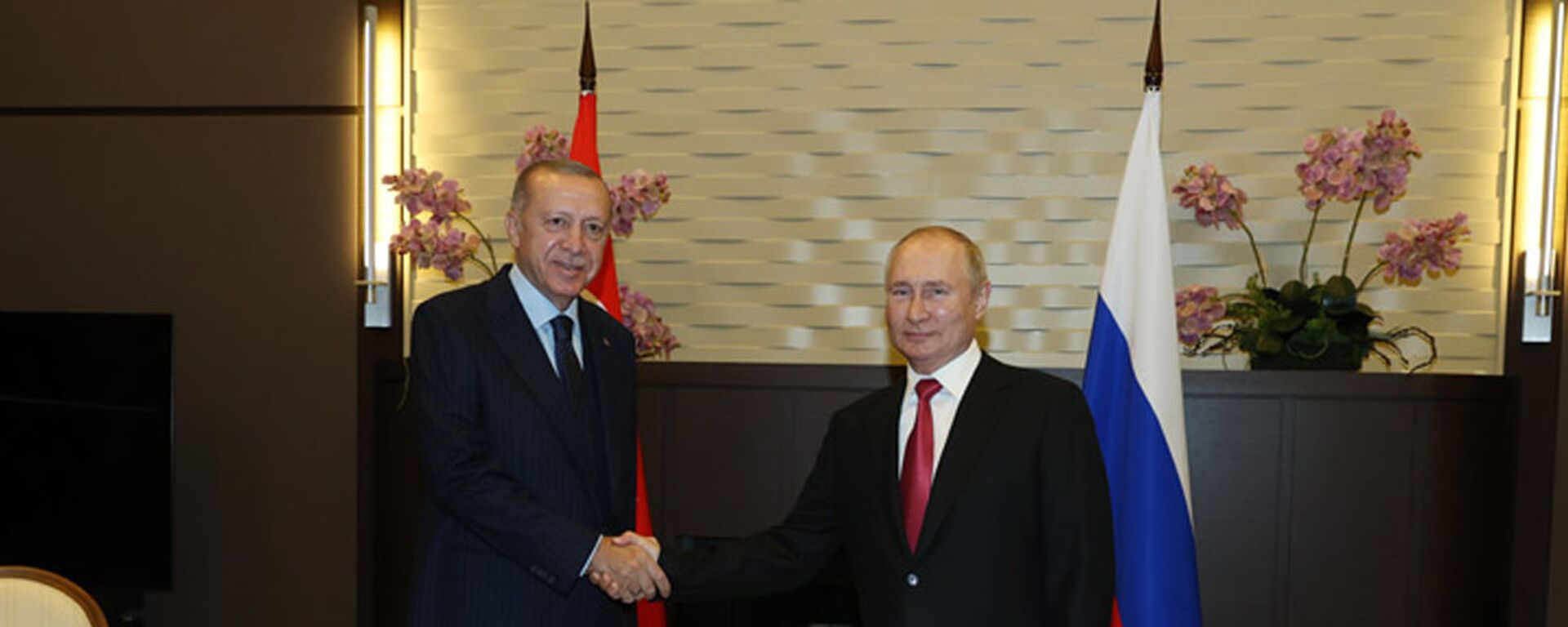 Cuộc hội đàm giữa Tổng thống Nga Vladimir Putin và Tổng thống Thổ Nhĩ Kỳ Recep Tayyip Erdogan - Sputnik Việt Nam, 1920, 09.09.2022