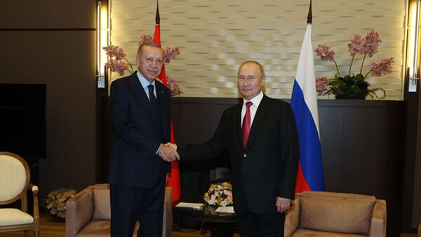 Cuộc hội đàm giữa Tổng thống Nga Vladimir Putin và Tổng thống Thổ Nhĩ Kỳ Recep Tayyip Erdogan - Sputnik Việt Nam