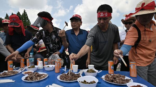 Các chủ trang trại ăn thịt chó trong hoạt động phản đối ở Seoul - Sputnik Việt Nam