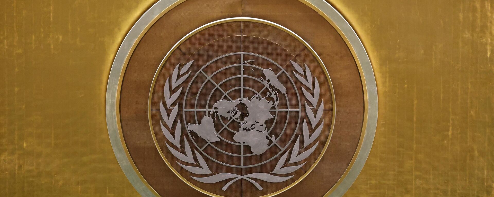 Biểu tượng của Liên hợp quốc (LHQ) tại Đại hội đồng Liên hợp quốc (LHQ) ở New York. - Sputnik Việt Nam, 1920, 08.06.2022