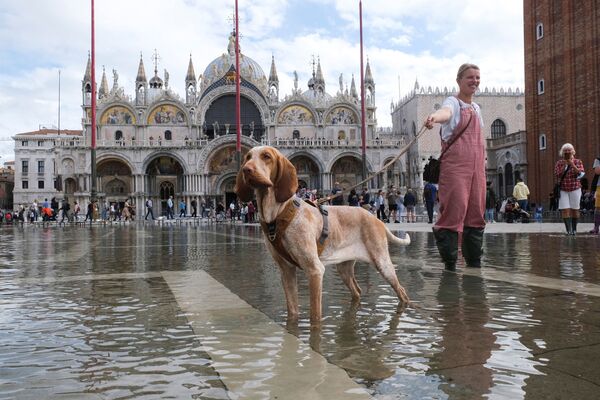 Cô gái đi dạo với con chó ở Quảng trường St. Mark bị ngập lụt trong trận lụt ở Venice, Ý - Sputnik Việt Nam