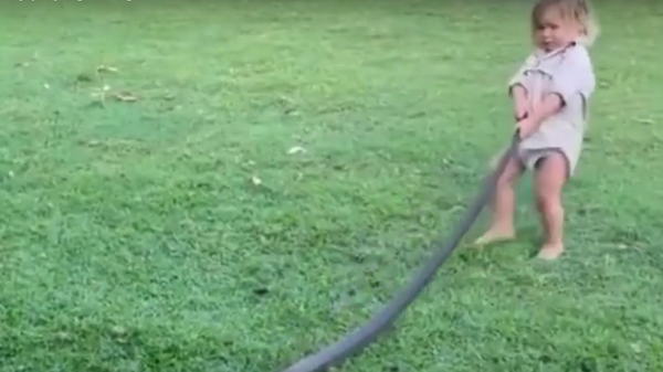 Сын известного охотника на крокодилов оттаскал огромную змею за хвост и попал на видео - Sputnik Việt Nam