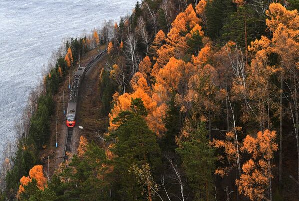 Đoàn tàu điện di chuyển dọc Yenisei trong rừng taiga Đông Siberia mùa thu, vùng Krasnoyarsk - Sputnik Việt Nam