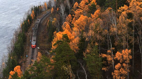 Đoàn tàu điện di chuyển dọc Yenisei trong rừng taiga Đông Siberia mùa thu, vùng Krasnoyarsk - Sputnik Việt Nam