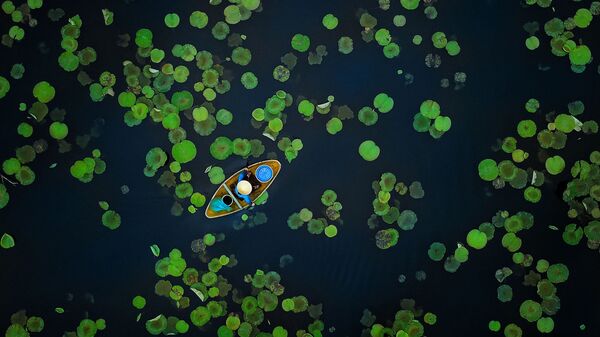  Bức ảnh “Mùa hè trên đầm sen” của nhiếp ảnh gia Việt Nam Mạnh Cường Vũ, được đánh giá cao ở hạng mục Nước, cuộc thi The Nature Conservancy 2021 - Sputnik Việt Nam