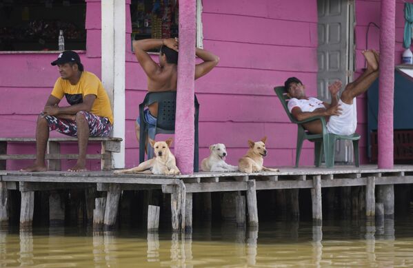 Gia chủ và cún cưng nghỉ ngơi trên hiên nhà tại Sienaga Grande de Santa Marta ở New Venice, Colombia - Sputnik Việt Nam