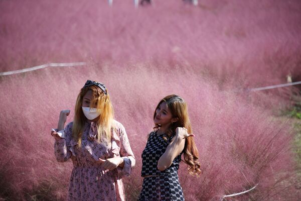 Các thiếu nữ tạo dáng cho nhiếp ảnh gia tác nghiệp trên nền cỏ rực hồng ở thành phố Hà Nam thuộc tỉnh Gyeonggi, Hàn Quốc - Sputnik Việt Nam