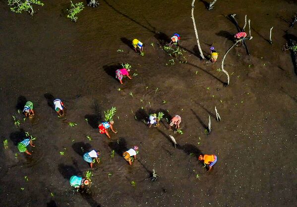 Tác phẩm từ loạt ảnh “Sierra Leone” của nhiếp ảnh gia Renato Granieri, lọt vào vòng chung kết hạng mục PORTFOLIO, cuộc thi National Geographic Traveller Photography Competition 2021 - Sputnik Việt Nam
