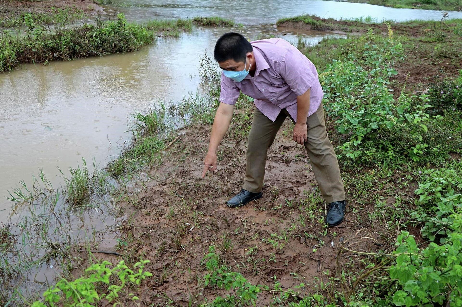 Cán bộ Địa chính nông nghiệp xã Dũng Phong, huyện Cao Phong (Hòa Bình) kiểm tra tình trạng cá chết dọc suối Cái.  - Sputnik Việt Nam, 1920, 21.10.2021
