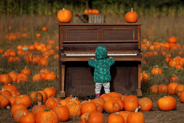 Em bé chơi piano trên cánh đồng bí ngô tại trang trại Pop Up Farm ở Anh trước thềm lễ hội Halloween - Sputnik Việt Nam