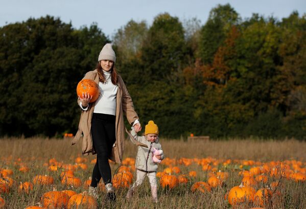Người mẹ và cô con gái thu hoạch bí ngô tại trang trại Pop Up Farm ở Anh trước thềm lễ hội Halloween - Sputnik Việt Nam