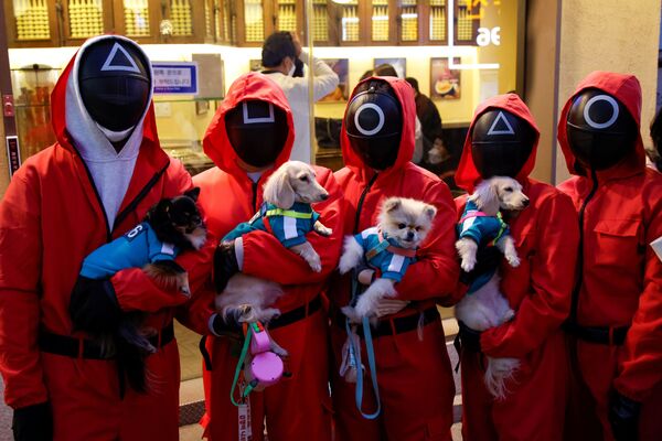 Mọi người mặc trang phục trong phim «Trò chơi con mực» cùng với chó trong lễ Halloween ở Hàn Quốc - Sputnik Việt Nam