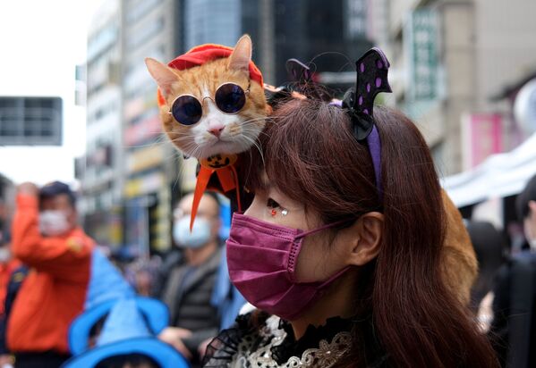Cô gái với con mèo trong cuộc diễu hành Halloween ở Đài Loan - Sputnik Việt Nam